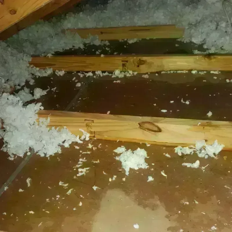 Attic Water Damage in Mono Vista, CA